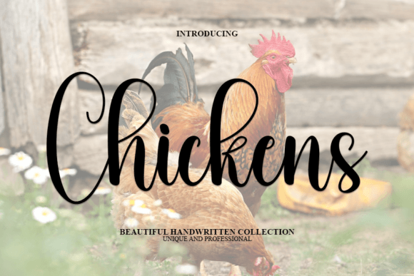 A Realistic Designer Review of the Chickens Handwritten Font
