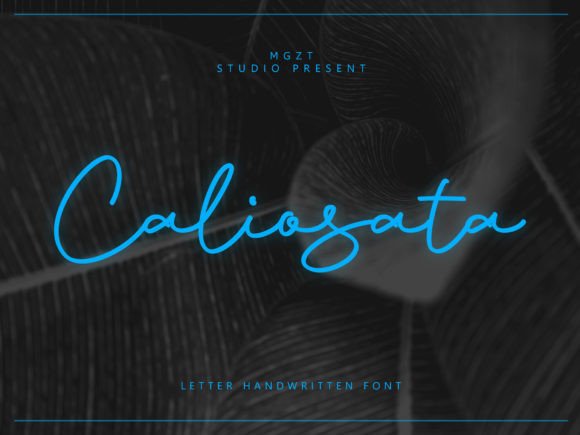 Caliosata: A Typeface for Quietly Beautiful Content