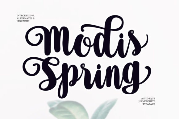Choosing Modis Spring for a Premium Brand Website