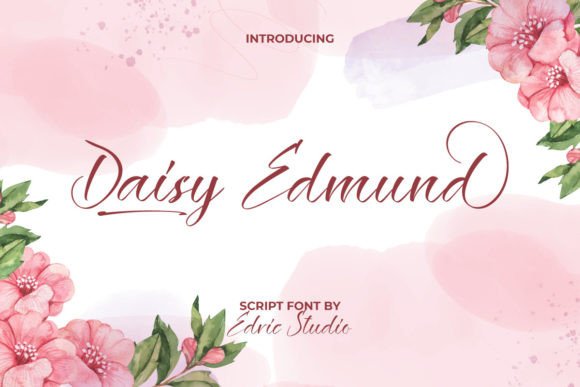 The Daisy Edmund Font: A Creative Script Font for Digital Designers